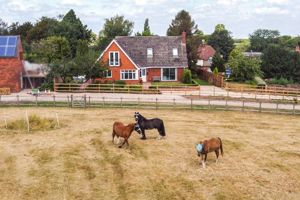 Photo 7- click for photo gallery